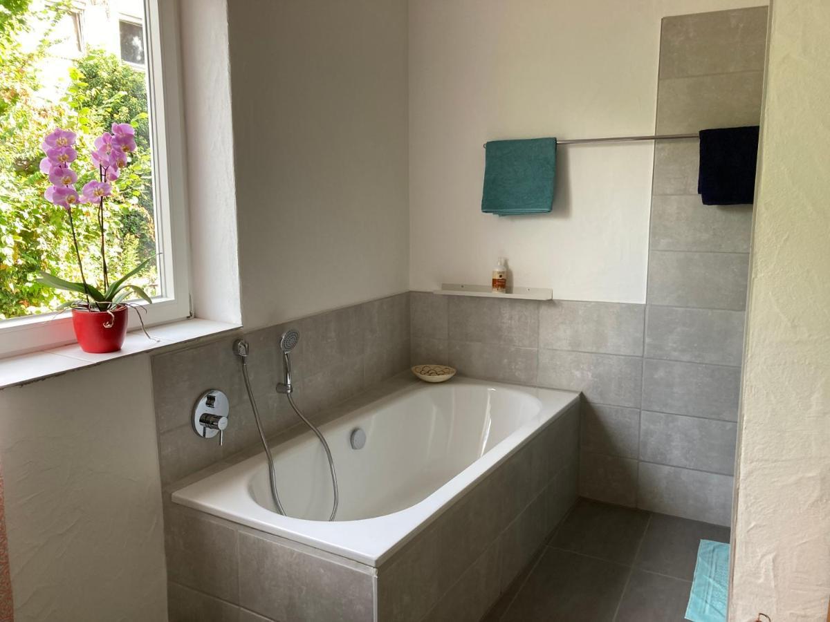 Gaestewohnung Mosbach Mosbach  Dış mekan fotoğraf